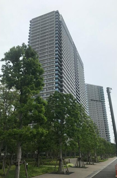 シティタワーズ東京ベイ　セントラルタワー 