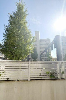 イルフィオーレ都立大学 