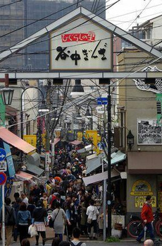 中野区江古田３丁目貸家戸建 