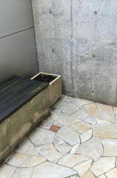 善福寺戸建 