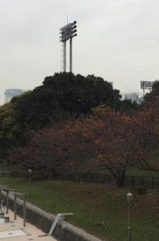 江東区潮見1丁目マンション 