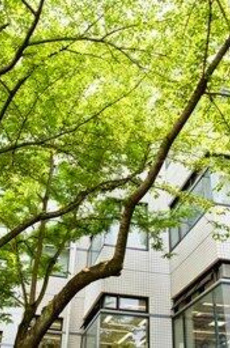 ザ・パークハウス渋谷美竹 