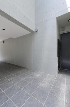 ｔｈｅ　ｔｏｇｏｓｈｉｇｉｎｚａ 