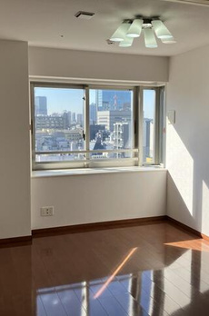 新橋プラザビル　コアレジデンス 