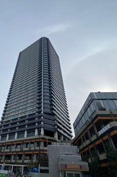 ザ・タワー十条（ＴＨＥ　ＴＯＷＥＲ　ＪＵＪＯ） 