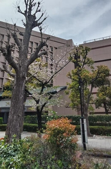 プレジリア銀座ＥＡＳＴ 