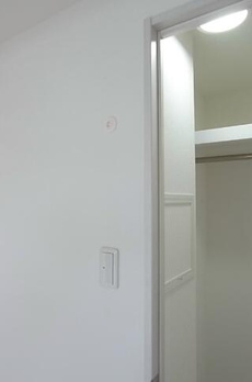 椿 