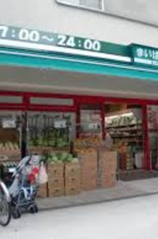 クオリタス品川南 