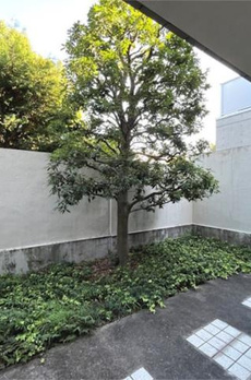 プレステージ田園調布 