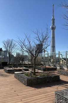イーストコア曳舟一番館 