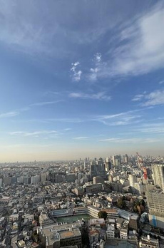 大崎ウエストシティタワーズＷ棟 