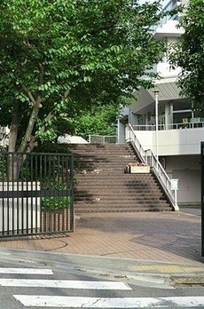 ウェリス有栖川 