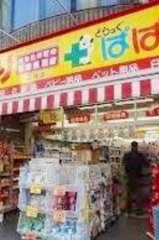 ウェリス有栖川 