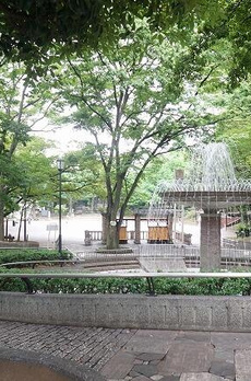 目白台３丁目戸建 