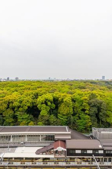 ウィズ原宿レジデンス 
