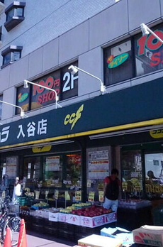 ザ・パークハビオ入谷 