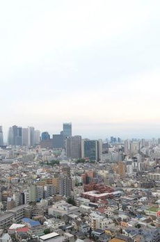 河田町ガーデン１ 