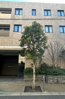プラウド目黒本町 