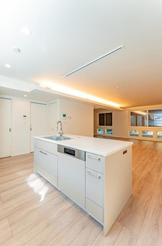 白金二丁目戸建 