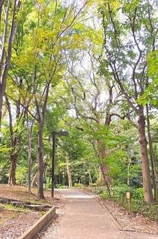 武蔵小山　小山台 
