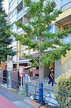 ジェイパーク恵比寿Ⅲアルティマ 