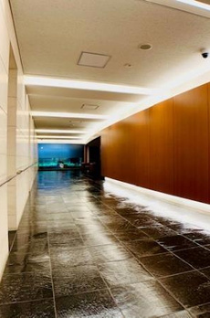 Ｂｒｉｌｌｉａ銀座ｉｄ 