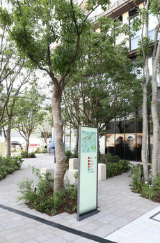 文京ＧＡＲＤＥＮ　ＴＨＥ　ＳＯＵＴＨ　（１５０４） 