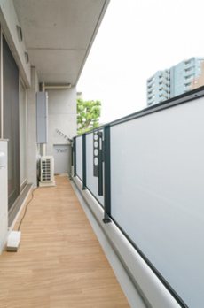Ｔｈｅ　Ｖｅｒｌｕｘ　Ｔａｋａｎａｗａ 