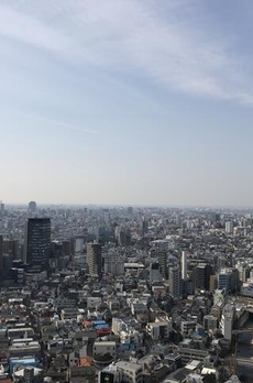 ザ・パークハウス西新宿タワー６０ 