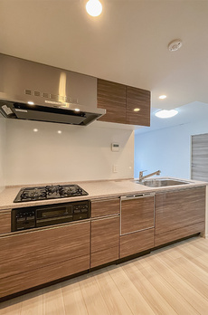 ロイジェントパークス押上錦糸町 