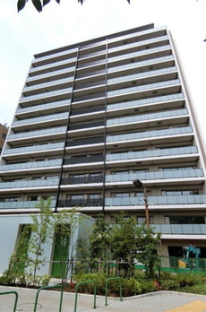 ＭＯＤＩＥＲ　ＨＡＴＡＧＡＹＡ 
