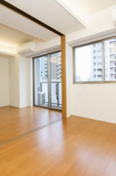 Ｔｈｅ　Ｖｅｒｌｕｘ　Ｔａｋａｎａｗａ 