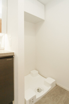 Ｔｈｅ　Ｖｅｒｌｕｘ　Ｔａｋａｎａｗａ 