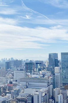 ＴＯＷＥＲ　ＲＥＳＩＤＥＮＣＥ　ＴＯＫＹＯ 