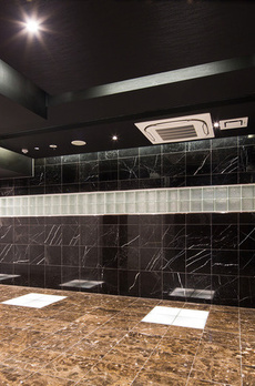 コンシェリア新橋MASTER'S VILLA 
