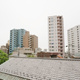 Ｔｈｅ　Ｖｅｒｌｕｘ　Ｔａｋａｎａｗａ 