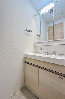 ロイジェントパークス押上錦糸町 