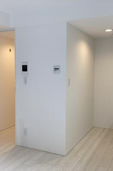 ＬＡＰｉＳ西新宿五丁目 