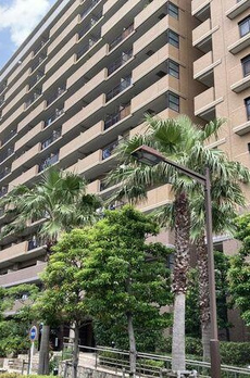 ルネ・グランマリーナ潮見 