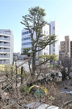 碑文谷マンション 