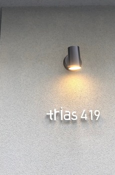 trias419 
