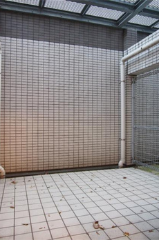 ルーブル早稲田六番館 