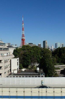 ＺＯＯＭ六本木 