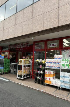 アネシア築地ステーションレジデンス 