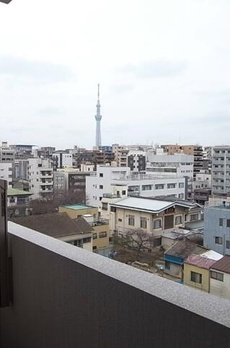 椿 