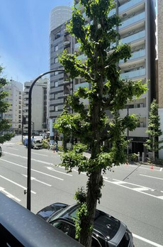 クレストコート本郷三丁目 