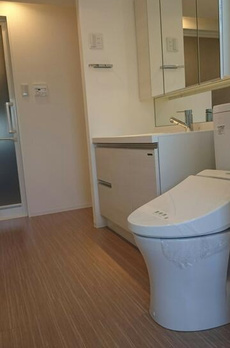 Ｂ　ＣＩＴＹ　ＡＰＡＲＴＭＥＮＴ　ＳＨＩＮＡＧＡＷＡ　ＷＥＳＴ 