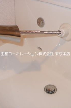 シュトランドコルブ 