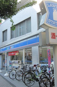 シュトランドコルブ 