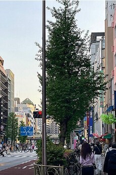 須賀ビル 周辺